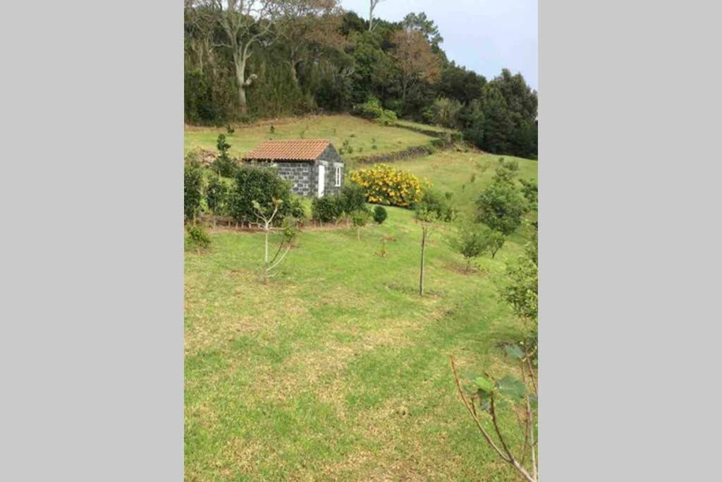Summer House With Bbq And Garden Horta  Extérieur photo
