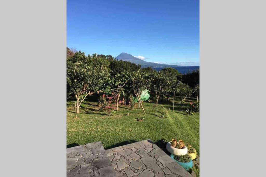 Summer House With Bbq And Garden Horta  Extérieur photo
